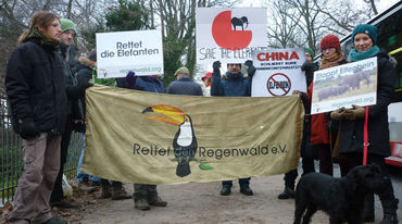 Mehrere Menschen demonstrieren vor Chinas Konsulat in Hamburg gegen Elfenbeinhandel