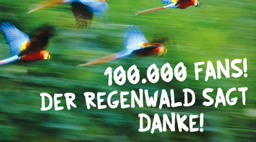 Über ein Bild fliegender Papageien ist der Schriftzug "100.000 Fans! Der Regenwald sagt Danke!" montiert.