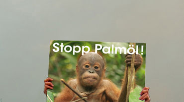 Plakat mit der Aufschrift "Stopp Palmöl"
