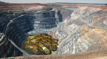 Montage: Goldbaren in Mine