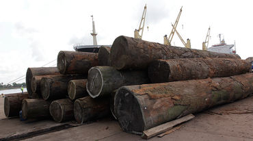 Holzstämme vor einem Hafen in Liberia