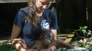 Tierärztin Karmele Llano im hält einen kleinen geretteten Orang-Utan auf dem Schoß