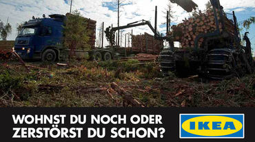 Abholzungsmaschinen mit Baumstämmen neben IKEA-Logo