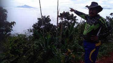 Indigener im Regenwald von Kelantan