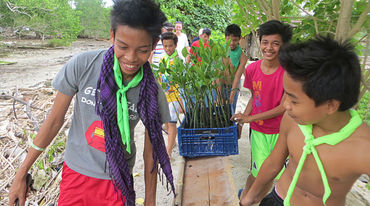 Helfer setzen Mangrovensetzlinge auf Samal Island/Philippinen aus
