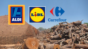 Primitve Holzkohleöfen und die Stämme gefällter Bäume im Chaco von Paraguay sind zusammen mit den Markenlogos von Aldi, Carrefour und Lidl zu einer Fotomontage zusammengefügt