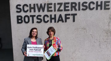 Übergabe der Petition mit 153.000 Unterschriften gegen Freihandel der Schweiz mit Palmöl aus Indonesien und Malaysia von Rettet den Regenwald vor Schweizerischer Botschaft in Berlin
