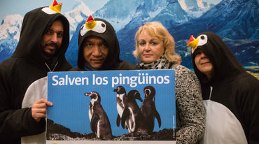 Vier Personen, davon drei als Pinguine verkleidet halten ein Schild mit Pinguinen in der Hand