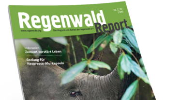 Aufmacher Regenwald Report 1/17 3D