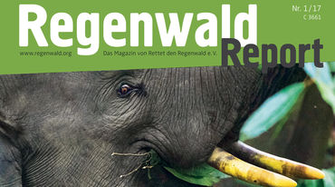Regenwald Report 1/17 Cover