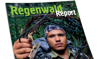 Regenwaldreport Aufmacher 2-18