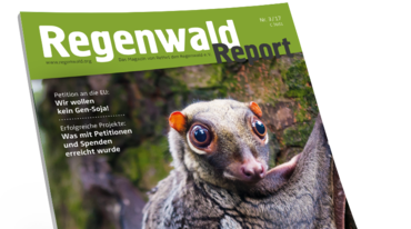 Aufmacher Regenwaldreprt 3-17
