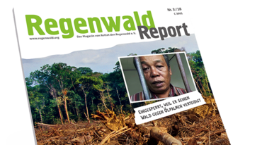 Regenwaldreport Aufmacher 3-18