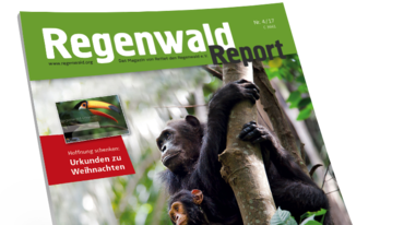 Regenwaldreport Aufmacher 4-17