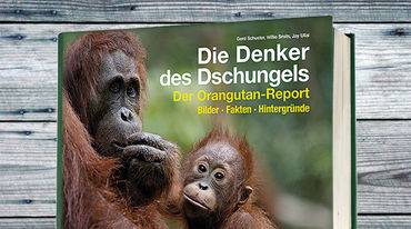 Buch mit Orang-Utans Affen