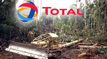 Total Regenwald Rodung