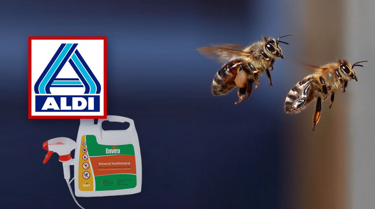 Der Wirkstoff Permethrin gilt als gefährlich für Bienen (Montage aldi-nord.de & Waugsberg (CC BY-SA 2.5) Über einem Insektenspray prangt das Logo von Aldi. Zwei ins Bild montierte Bienen scheinen davonzufliegen