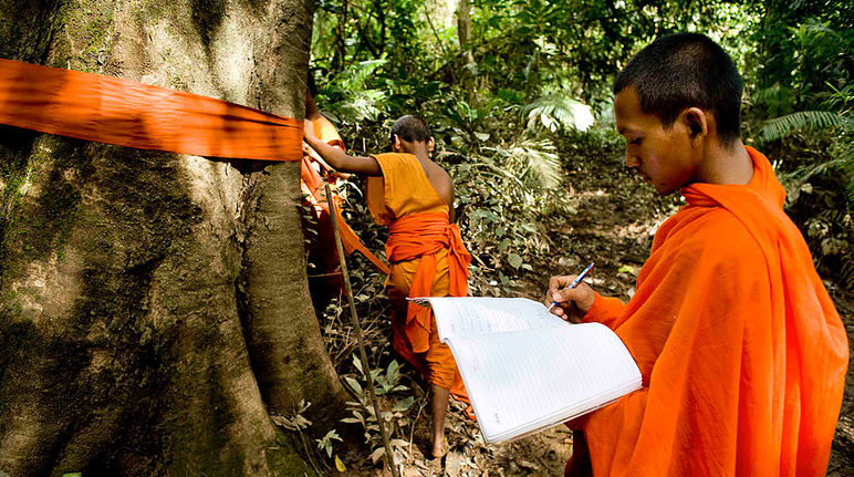 Ein Mönch hat einen Baumstamm mit orangefarbenem Tuch markiert und trägt seine Position in eine Karte ein