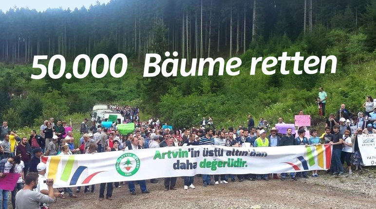 In der Türkei demonstrieren Einheimische gegen die Rodung von 50.000 Bäumen für eine Goldmine