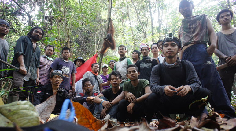 Die Gruppe der Baumpflanzer. Im Hintergrund ein Orang-Utan