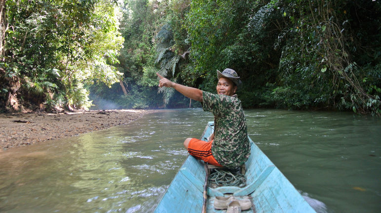 Der Sungai Lijan schlängelt sich durch üppigen Regenwald. Mittendrin liegen die Langhäuser der Iban. Früher wurden sie aus Holz gebaut, heute verwenden die Einheimischen Zement, um den Wald auf der Insel Borneo zu schonen Ein Mann an der Spitze eines kleinen Bootes zeigt begeistert den Regenwald