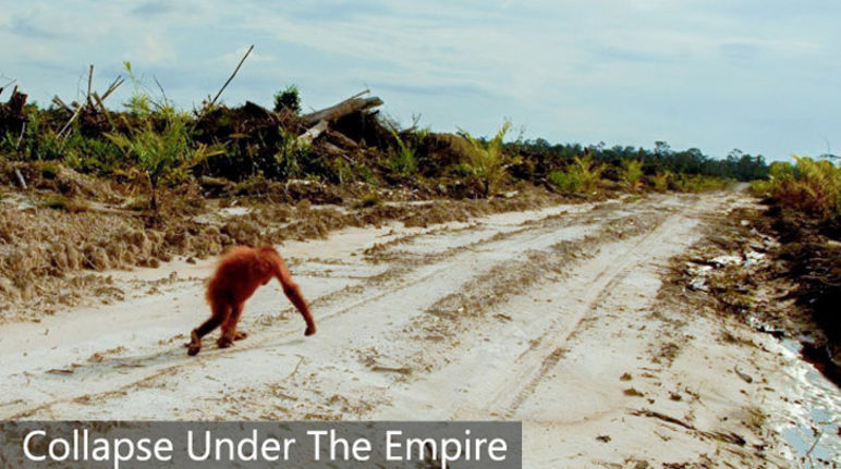 Orang-utan auf zerstörtem Land