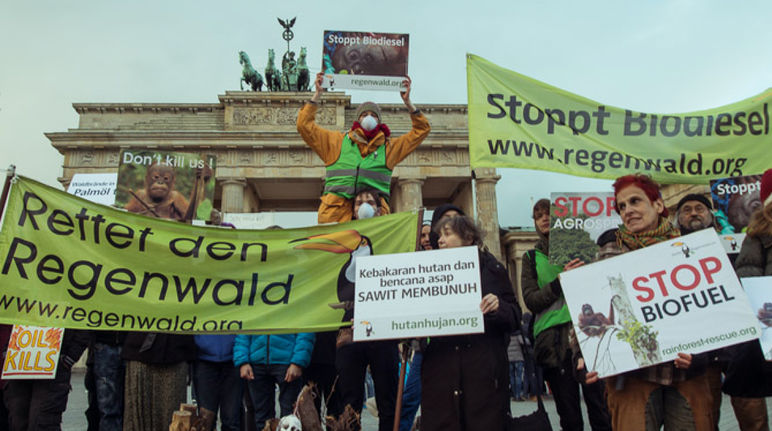 Demo Indonesien Rettet den Regenwald Berlin Brandenburger Tor