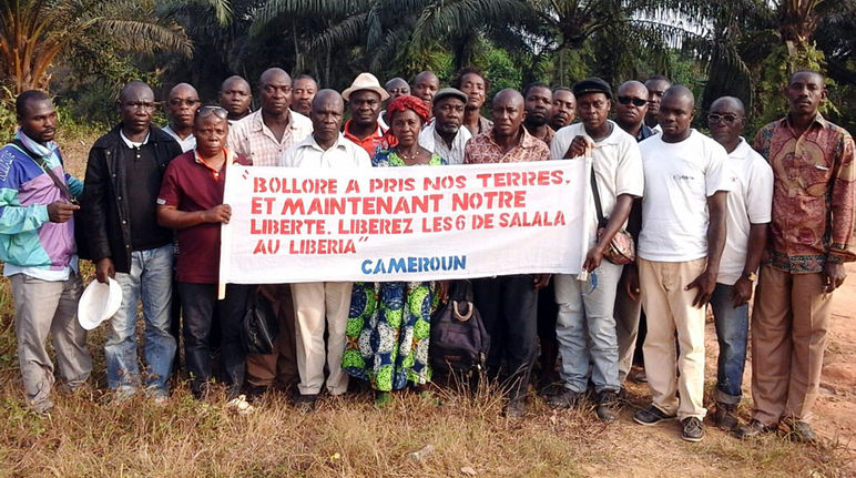 Bauern demonstrieren auf einer Plantage der Firma Socfin in Kamerun