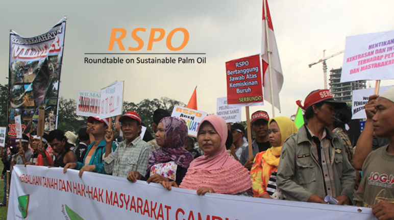 RSPO-Demo in Indonesien