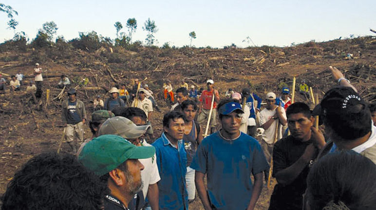 Bauern in Peru betrachten verzweifelt die Zerstörungen für Palmölplantagen Dorfbewohner stehen auf gerodeter Fläche und empören sich