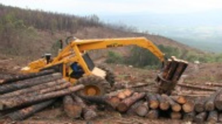 FSC-zertifizierter Holzplantagenkahlschlag in Südafrika