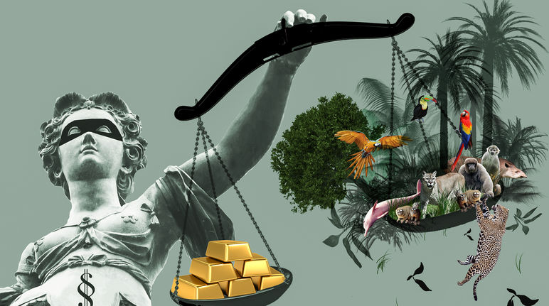 Privatjustiz wägt zwischen Goldmine oder Regenwald ab In Justicias Hand die Waagschalen mit Gold auf der einen und Regenwald auf der anderen Seite. Das Gold ist schwerer.