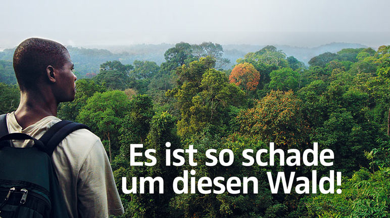 Mann blickt auf die Baumwipfel des Regenwaldes - Text: Es ist so schade um diesen Wald!