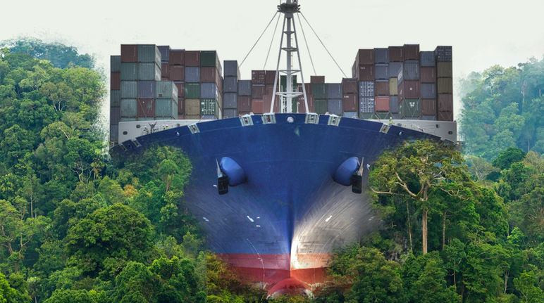 Nicaragua-Kanal: Der globale Rohstoffabbau vernichtet die Natur und bedroht die Menschen Ein Containerfrachter walzt den Regenwald platt