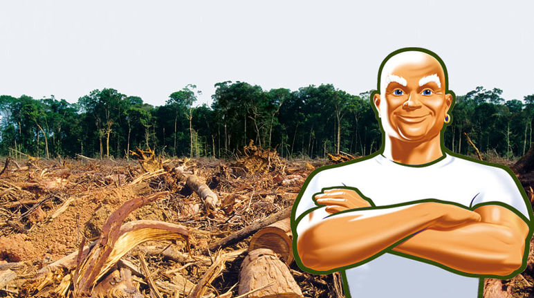Procter&Gamble will weiter Palmöl kaufen, für das Wald gerodet wird (Hintergrundfoto: iStockphoto/ Montage: Rettet den Regenwald) Die Werbefigur Meister Proper steht mit verschränkten Armen vor gerodetem Wald