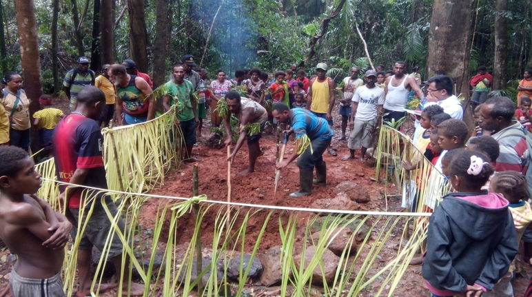Zeremonie für den Schutz des Waldes: Unter Fürbitten graben die Mahuze als heilige Handlung einen Raum in die Erde und pflanzen neue Setzlinge Die Indigenen Papuas stehen im Kreis und beobachten ein Ritual zum Schutz des Territoriums