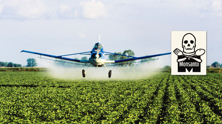 Für der Anbau von Gentech-Soja werden große Mengen Herbizide versprüht, die Mensch und Natur vergiften (Tiago Fioreze - Lizenz CC BY-SA 3.0 - Montage RdR) Ein Flugzeug versprüht Herbizide auf einer Soja-Plantage
