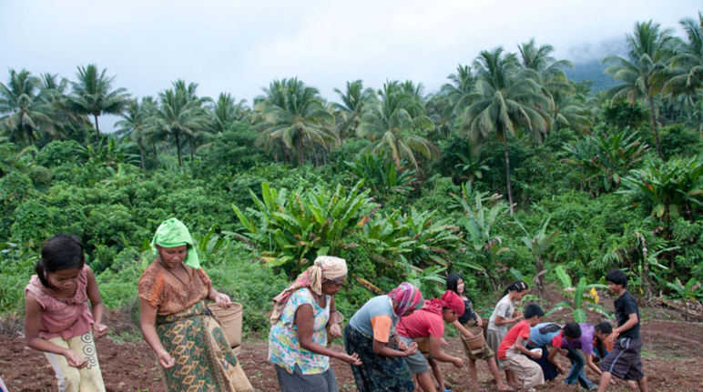 Frauen und Männer säen auf einem Feld im Regenwald