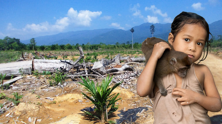 Ein Mädchen steht vor einer gerodeten Waldfläche und hält einen Affen im Arm