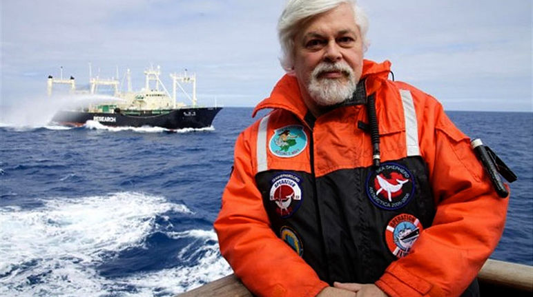 Paul Watson setzt sich unermüdlich zum Schutz der Meere ein (Foto: Sea Shepherd, Barbara Veiga)