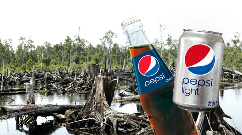 Vor einer Rodung von Regenwald sind eine Dose und eine Flasche Pepsi-Cola zu sehen.