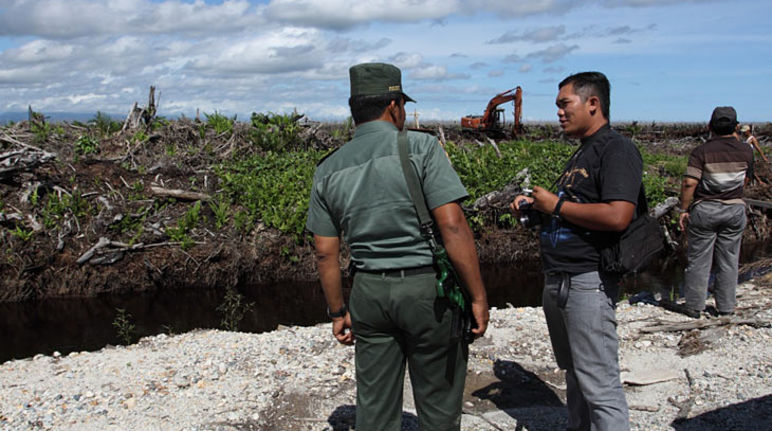 Ermittler vor Ort in Tripa (Foto: Coalition to save Tripa) Ermittler in Tripa