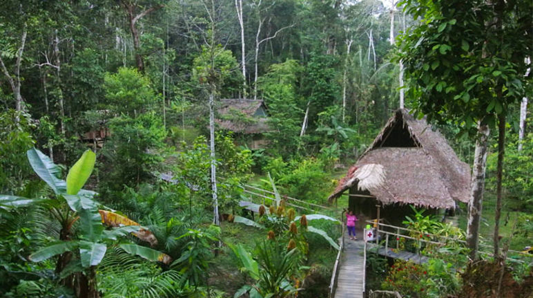 Im Regenwald von Peru sieht man ein Camp aus mehrern Häusern