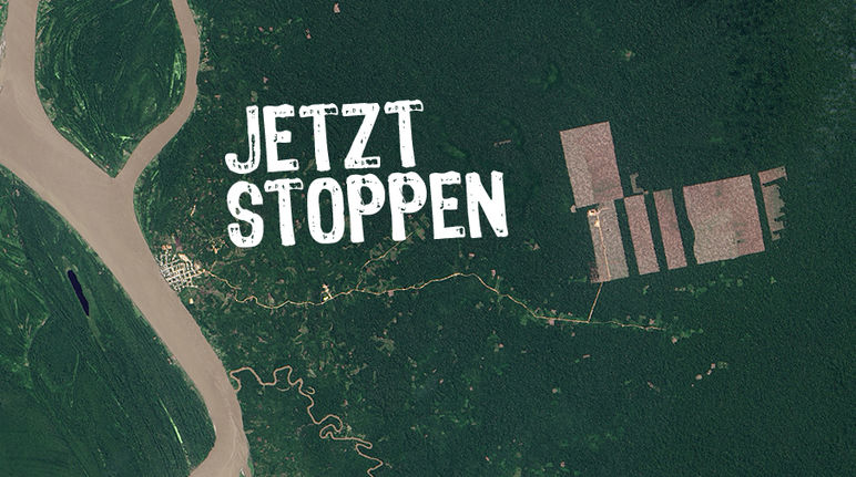 Für Plantagen werden Pisten in den Regenwald geschlagen (Foto: NASA) Ein Satelittenbild zeigt Rodungen in Peru. Darüber der Schriftzug: Jetzt stoppen
