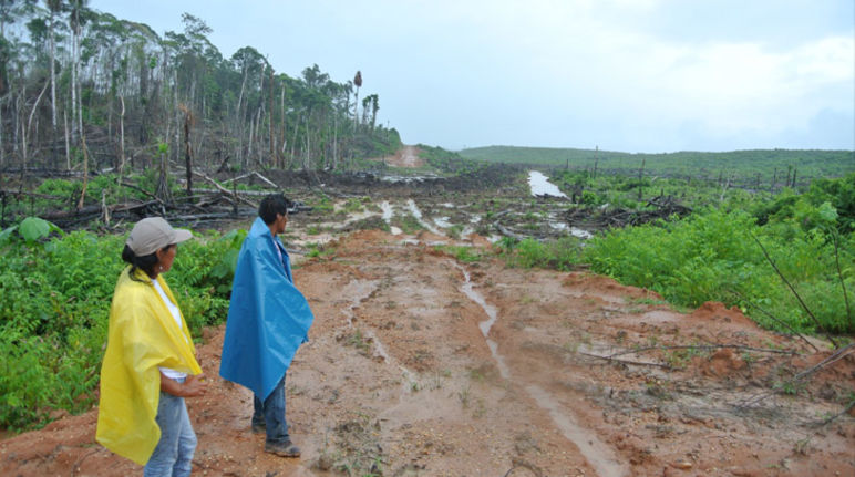Zwei peruanische Bauern blicken auf eine Rodung, auf der Ölpalmen gepflanzt werden sollen.