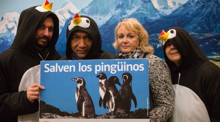Am Weltpinguintag hat Rettet den Regenwald 210.000 Unterschriften übergeben Vier Personen, davon drei als Pinguine verkleidet halten ein Schild mit Pinguinen in der Hand