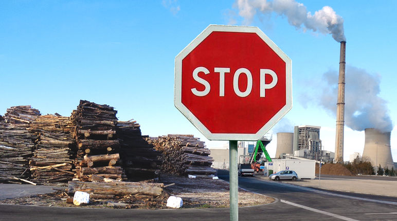 Biomassekraftwerk von Eon gefährdet Wälder