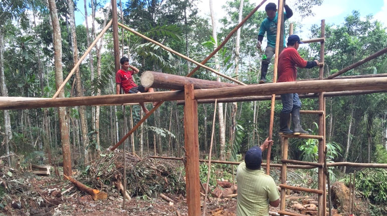Gemeinsam wird ein einfaches Haus für die Verpflegung und die Zusammenkünfte gebaut. Arbeiter erstellen ein Gerüst für den Bau eines Hauses im Regenwald