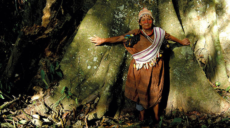 Indigene, die sich schützend vor Ihren Regenwald-Baum stellt