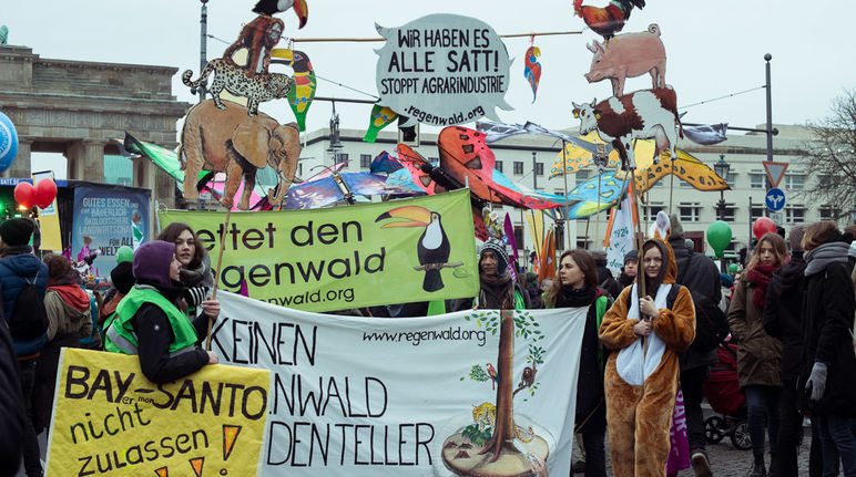 Die Regenwald-Regionalgruppe mit ihren kunstvollen Plakaten läutet das neue Protestjahr traditionell auf der Wir haben es satt!-Demo ein. Aktivisten halten Banner und Plakate gegen Massentierhaltung in die Höhe